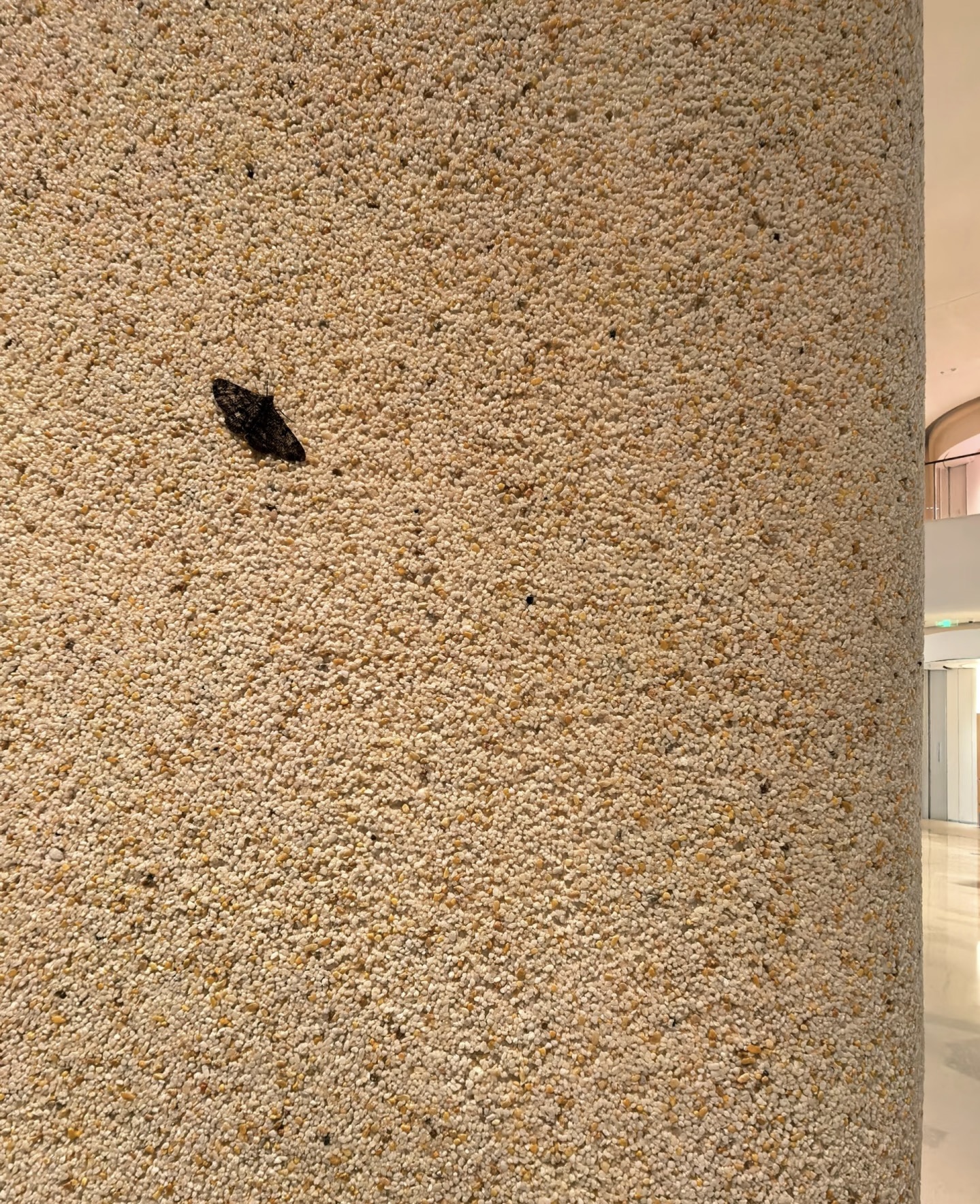 美蒂石极简酒店公区一体化案例 | Meidis Resin Binder Minimalist Hotel Public Area Case - 套装图