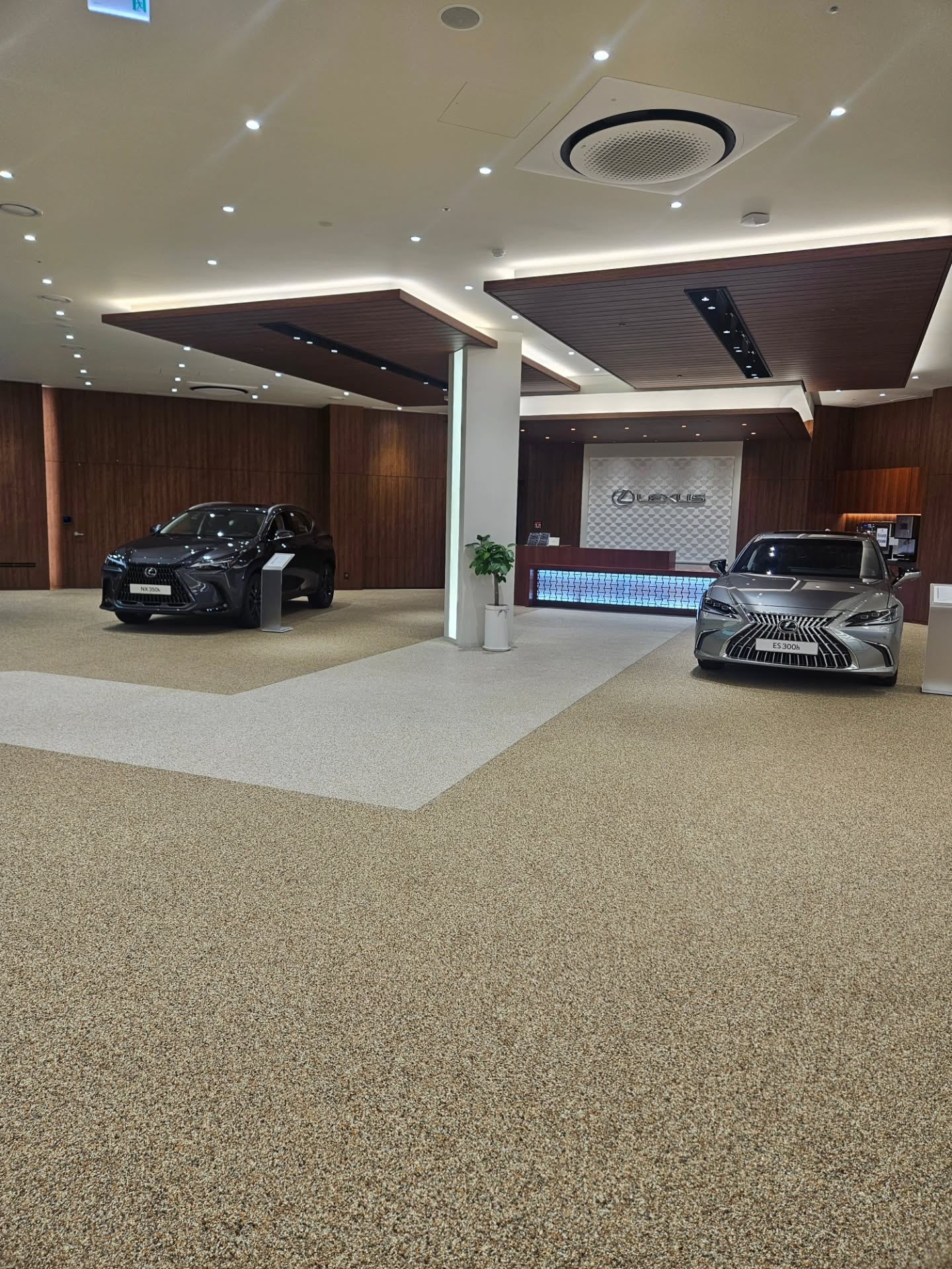 美蒂石丰田 & 雷克萨斯豪华汽车展厅地坪案例 | Meidis Resin Binder Toyota & Lexus Showroom Floor Case - 套装图