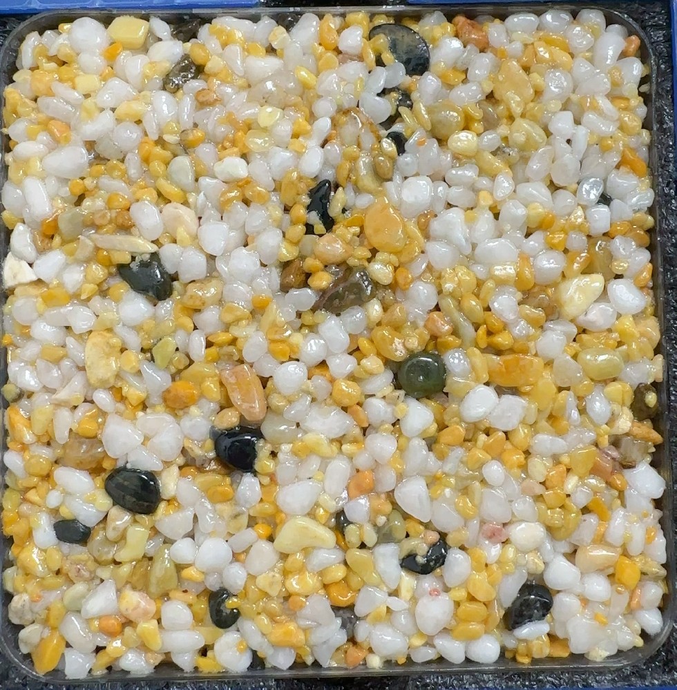 金桂凝霜