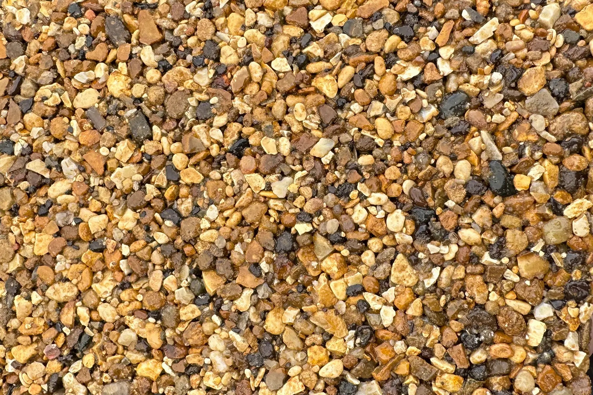 10.whernside 6f3b001f e91e 41d3 a774 093cc03d551a 10.whernside 6f3b001f e91e 41d3 a774 093cc03d551a