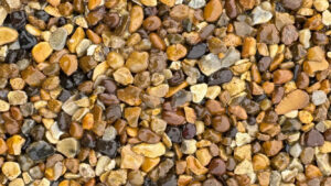 11.2tawny2 5finalsquare