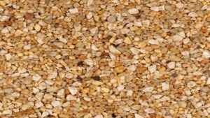 20 01239 petra stone vt