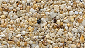 autumnquartz2 5 d06262d1 810f 4f45 b0e5 6b227beac74c