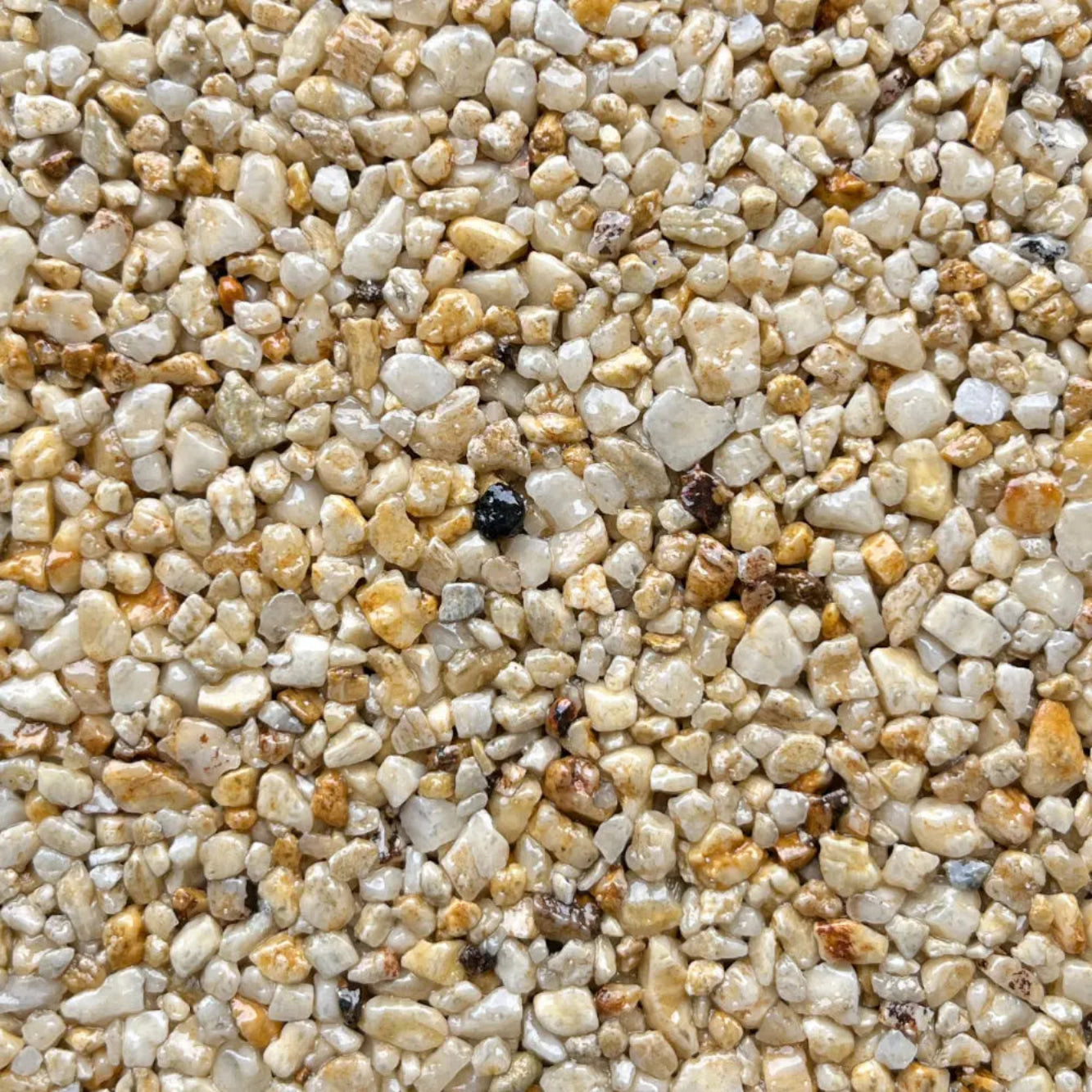 autumnquartz2 5 d06262d1 810f 4f45 b0e5 6b227beac74c autumnquartz2 5 d06262d1 810f 4f45 b0e5 6b227beac74c