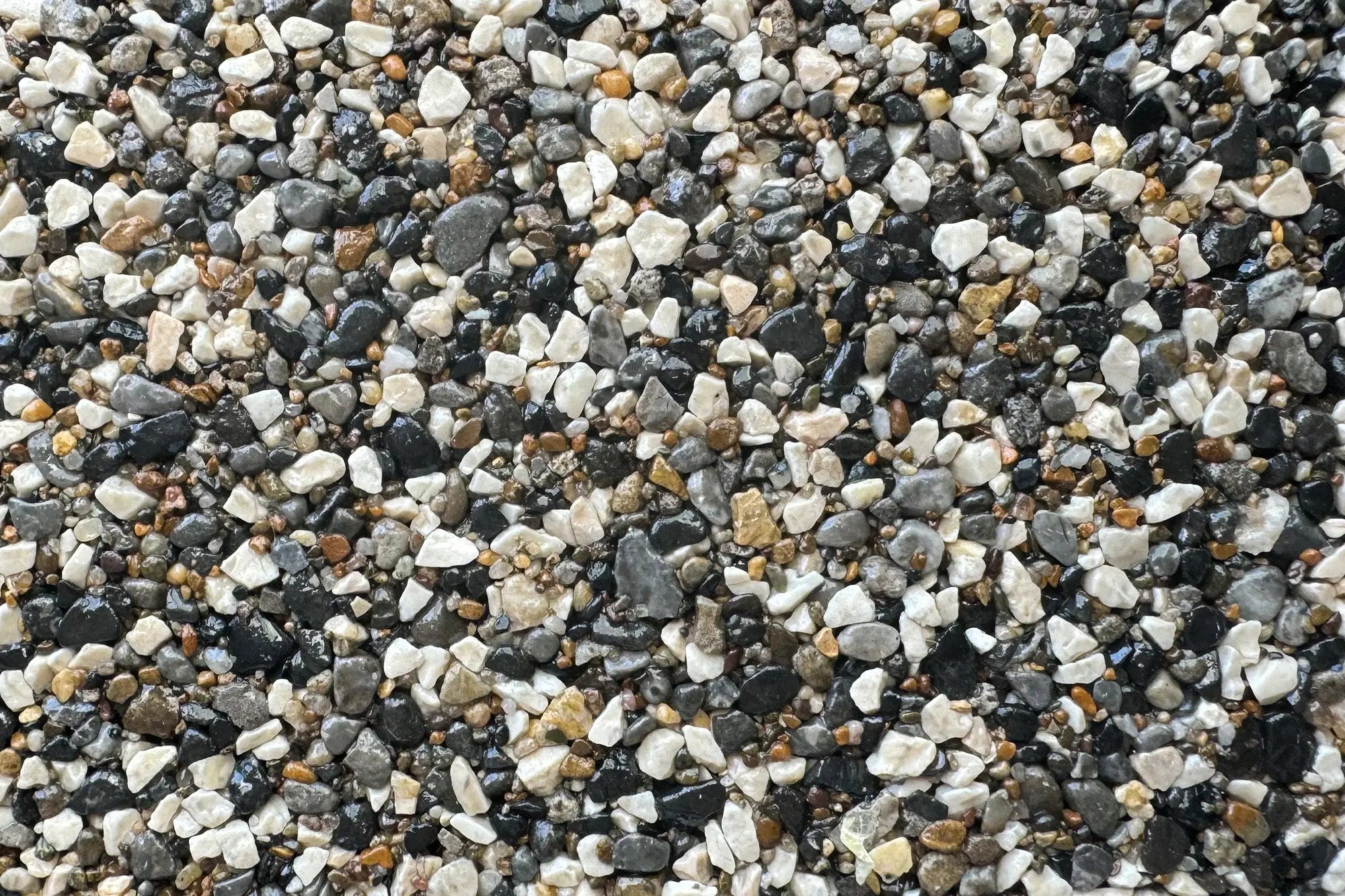 carnsorepoint carnsorepoint