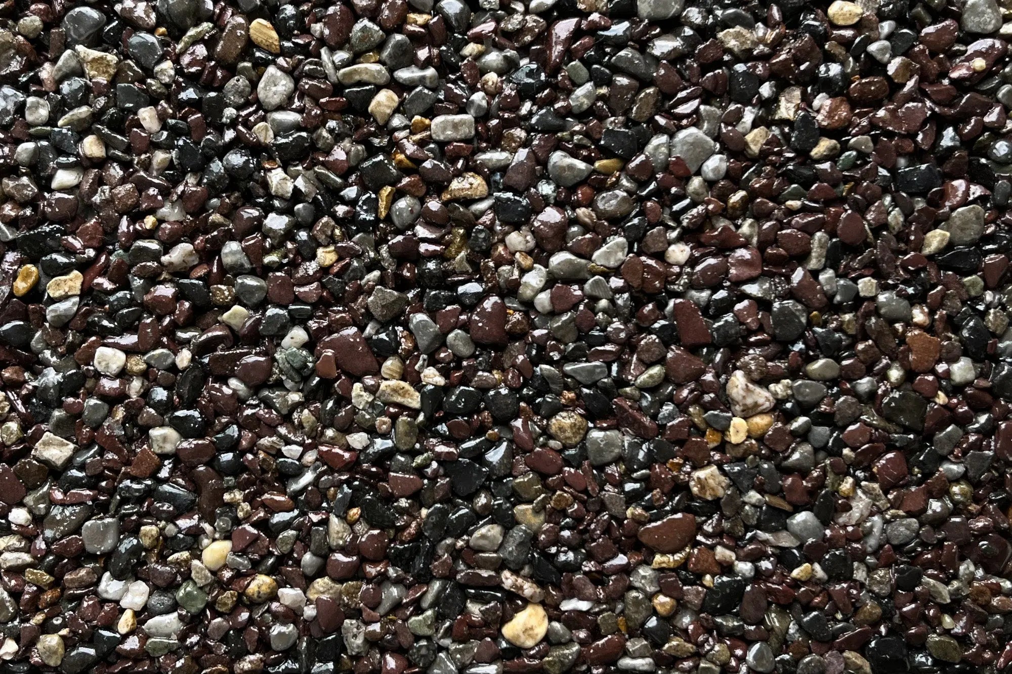 conwycastle conwycastle