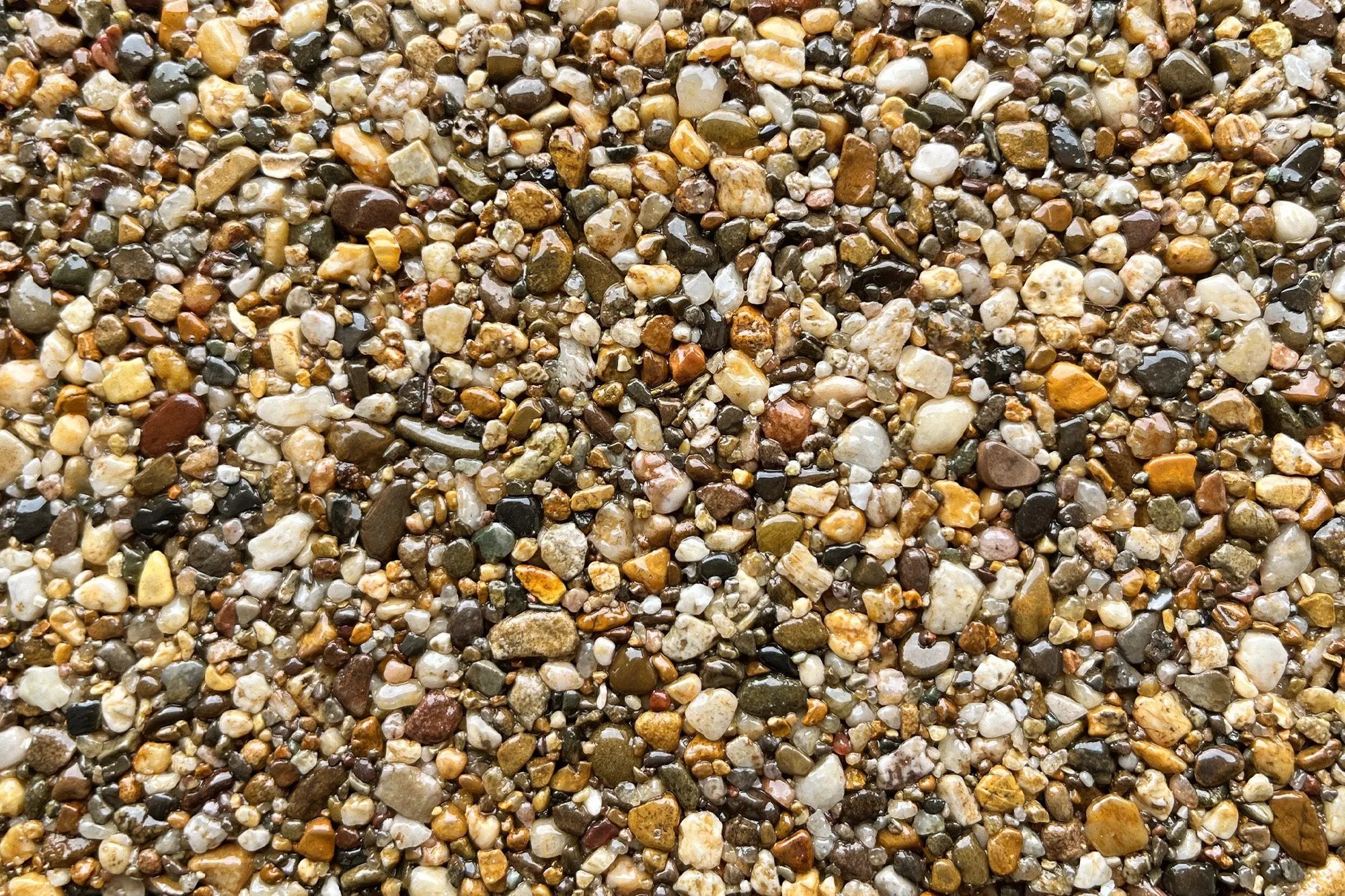 dalbyforest dalbyforest