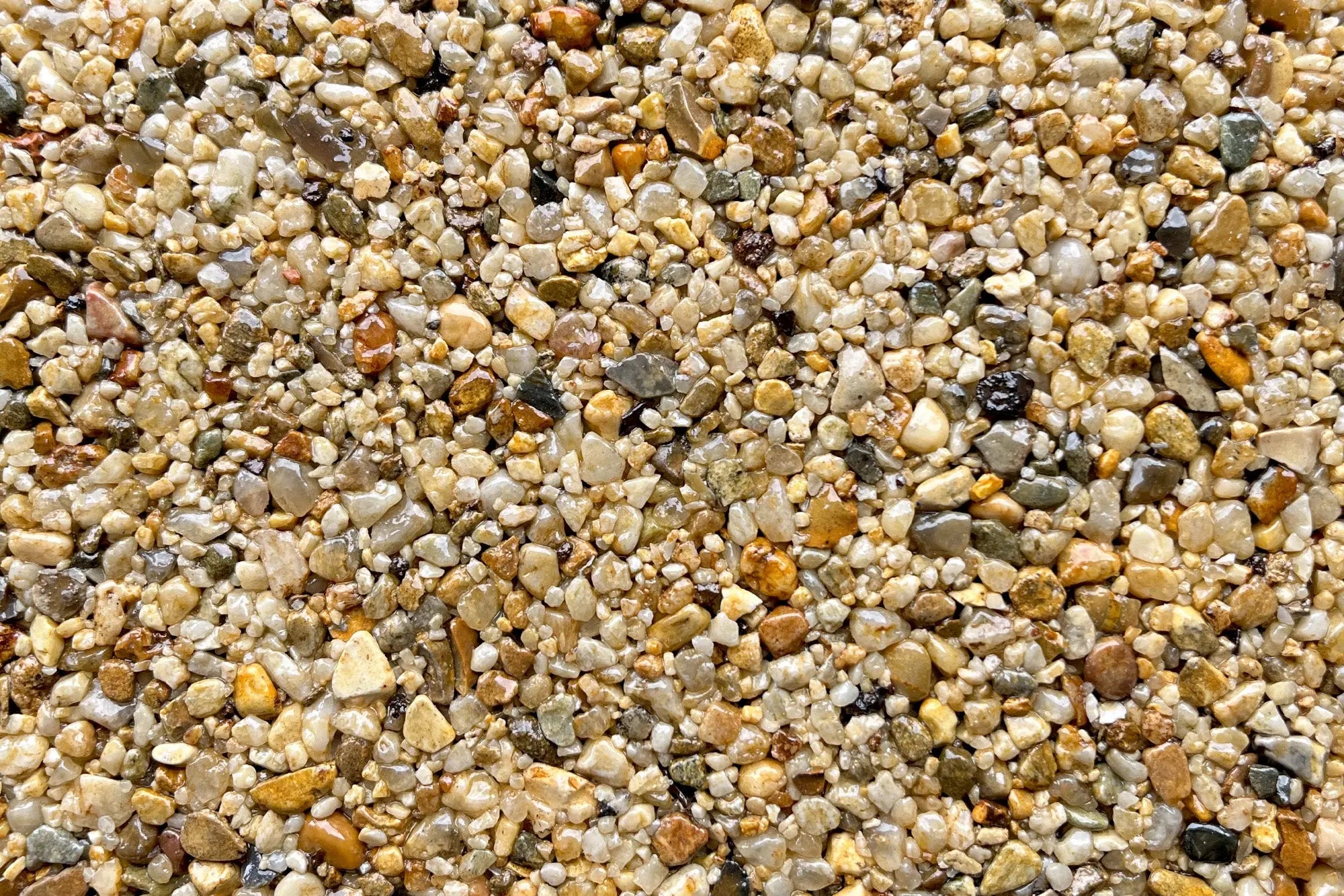 dolorosa 2d38e162 e83d 458c 9336 06880e790317 dolorosa 2d38e162 e83d 458c 9336 06880e790317