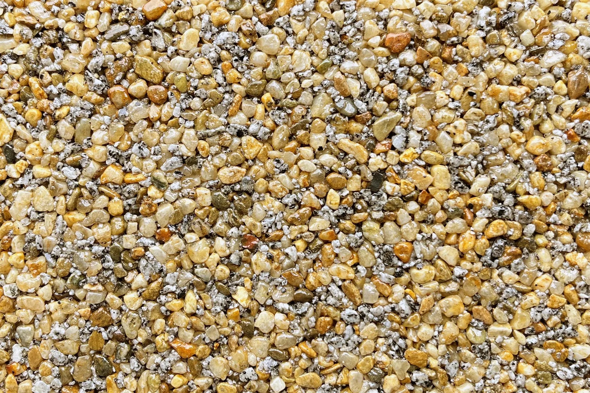 igglefarm a9dfdd24 d574 4a17 8393 ce5ad1b060e0 igglefarm a9dfdd24 d574 4a17 8393 ce5ad1b060e0