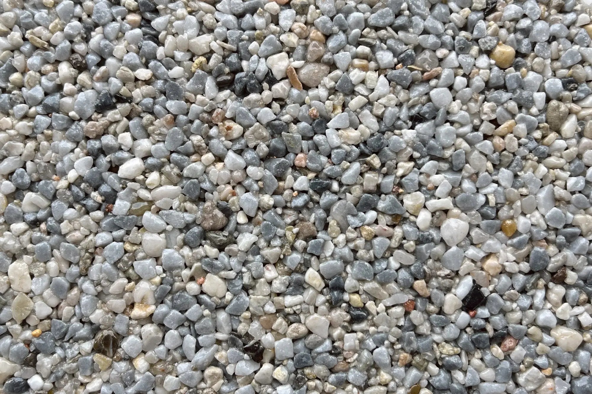 kyotofall 7c3103f8 ad13 474a 8469 820eba10ac30 kyotofall 7c3103f8 ad13 474a 8469 820eba10ac30