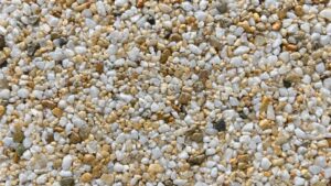 larochelle 71ed7e19 1192 4118 a57c 957dc779a2e2 1