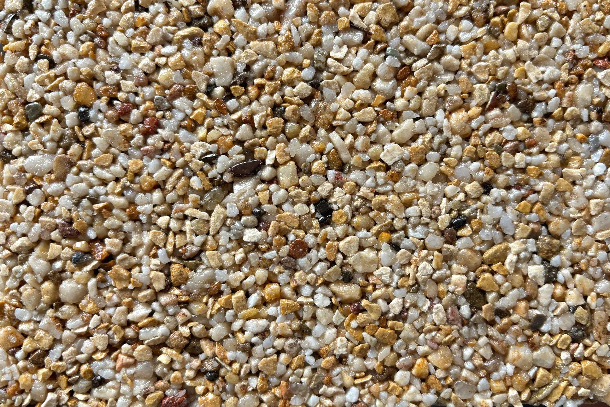 newalexandria 92275085 a699 4ab0 9b32 d6125707e20f newalexandria 92275085 a699 4ab0 9b32 d6125707e20f