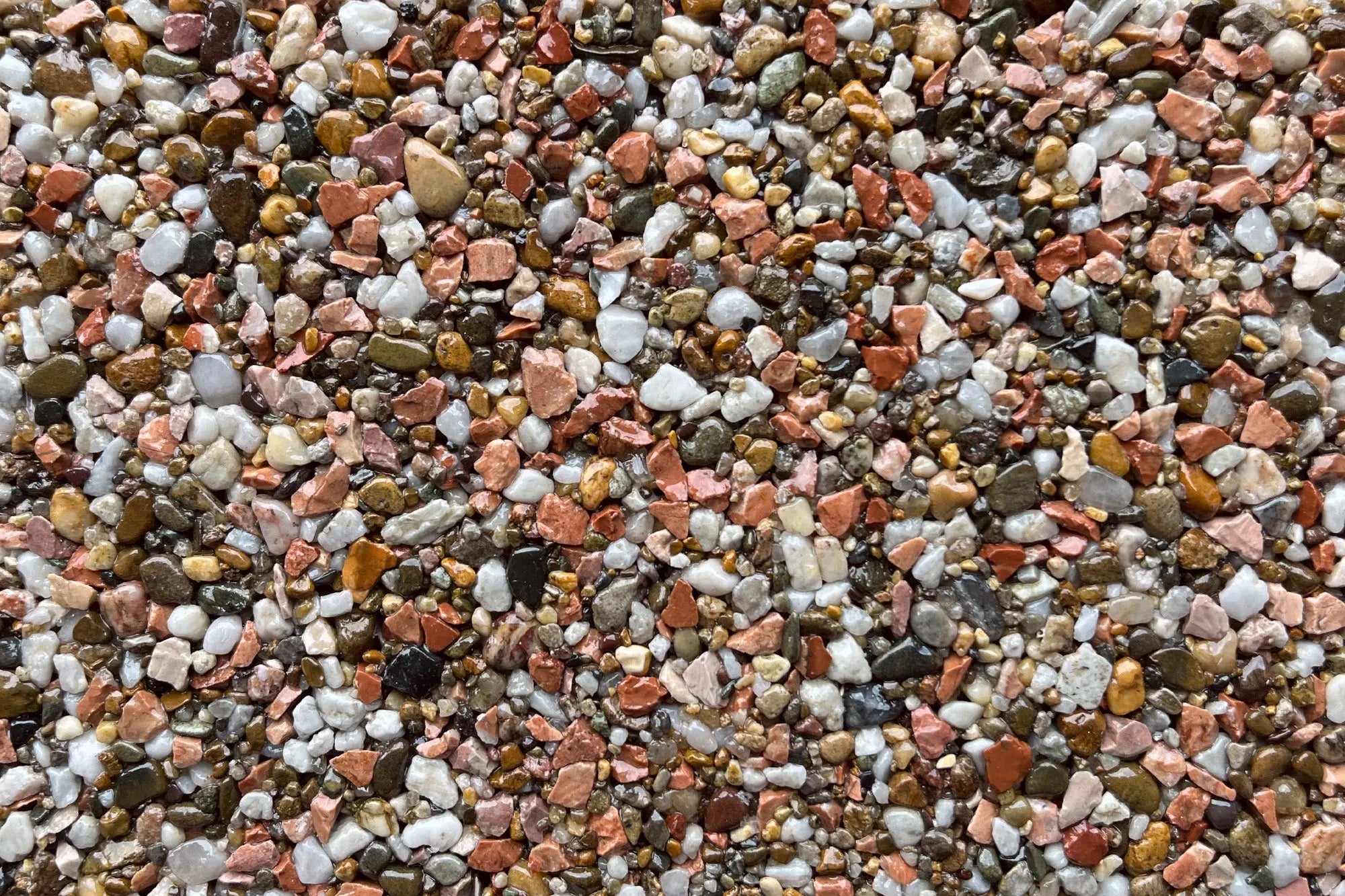 nashville 9f4c5969 0696 4ad8 8484 207c67982cd7 nashville 9f4c5969 0696 4ad8 8484 207c67982cd7