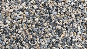 notredame 8ce38a6d 7a11 4b4f a12e 90581ea18bfb