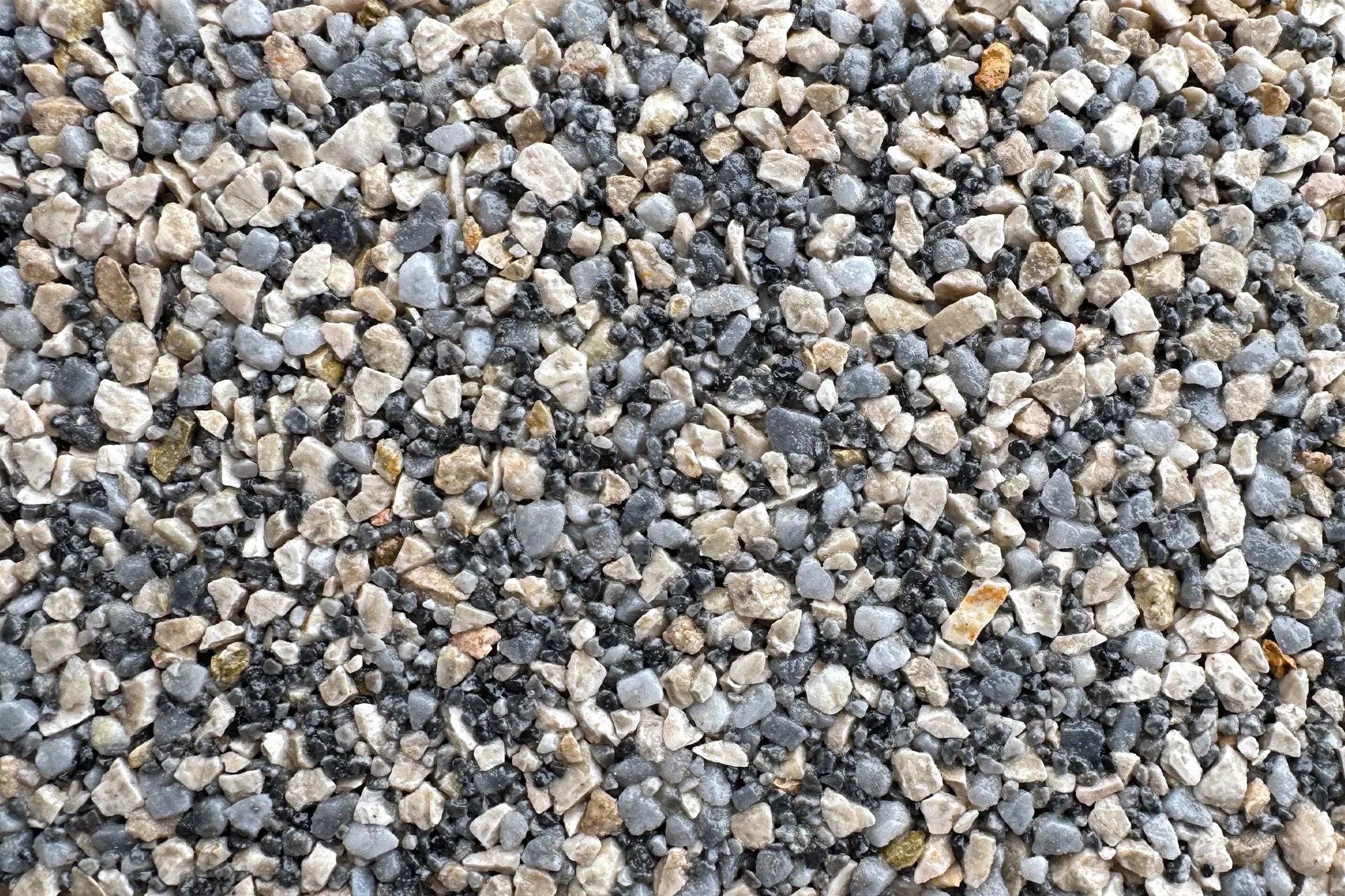 notredame 8ce38a6d 7a11 4b4f a12e 90581ea18bfb notredame 8ce38a6d 7a11 4b4f a12e 90581ea18bfb