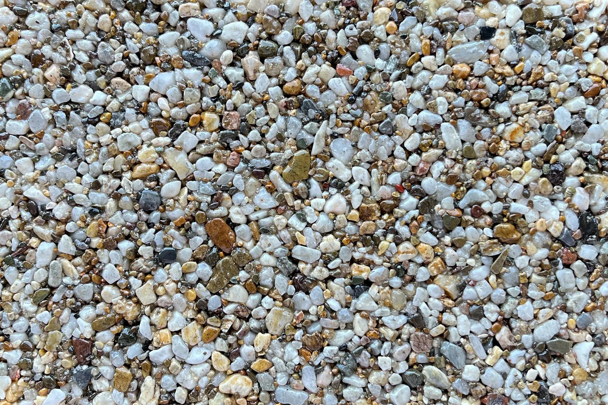 thorntondale thorntondale