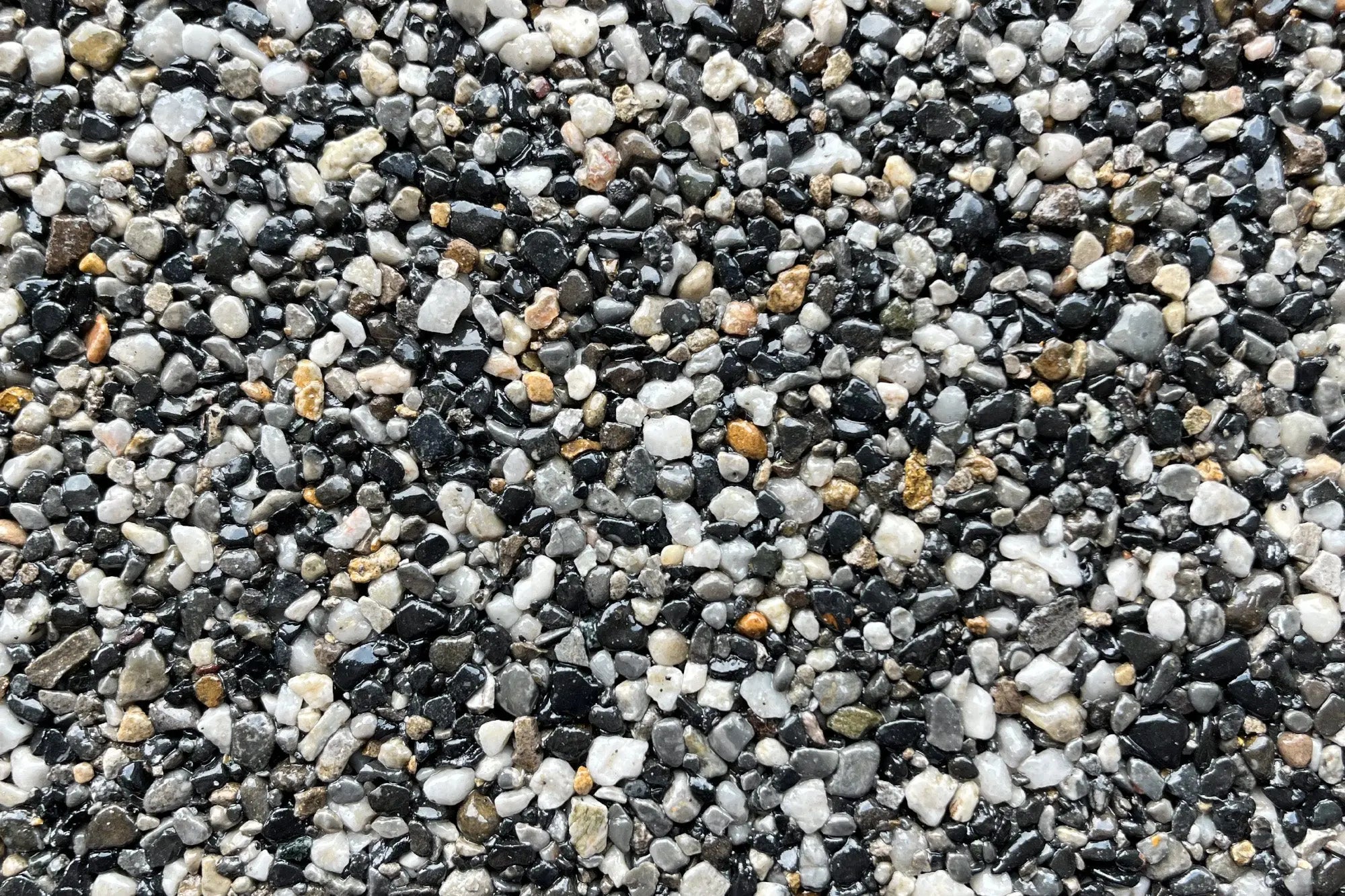 trafalgar bce7864e 843e 4b6a 842e 7921e03cc3f7 trafalgar bce7864e 843e 4b6a 842e 7921e03cc3f7