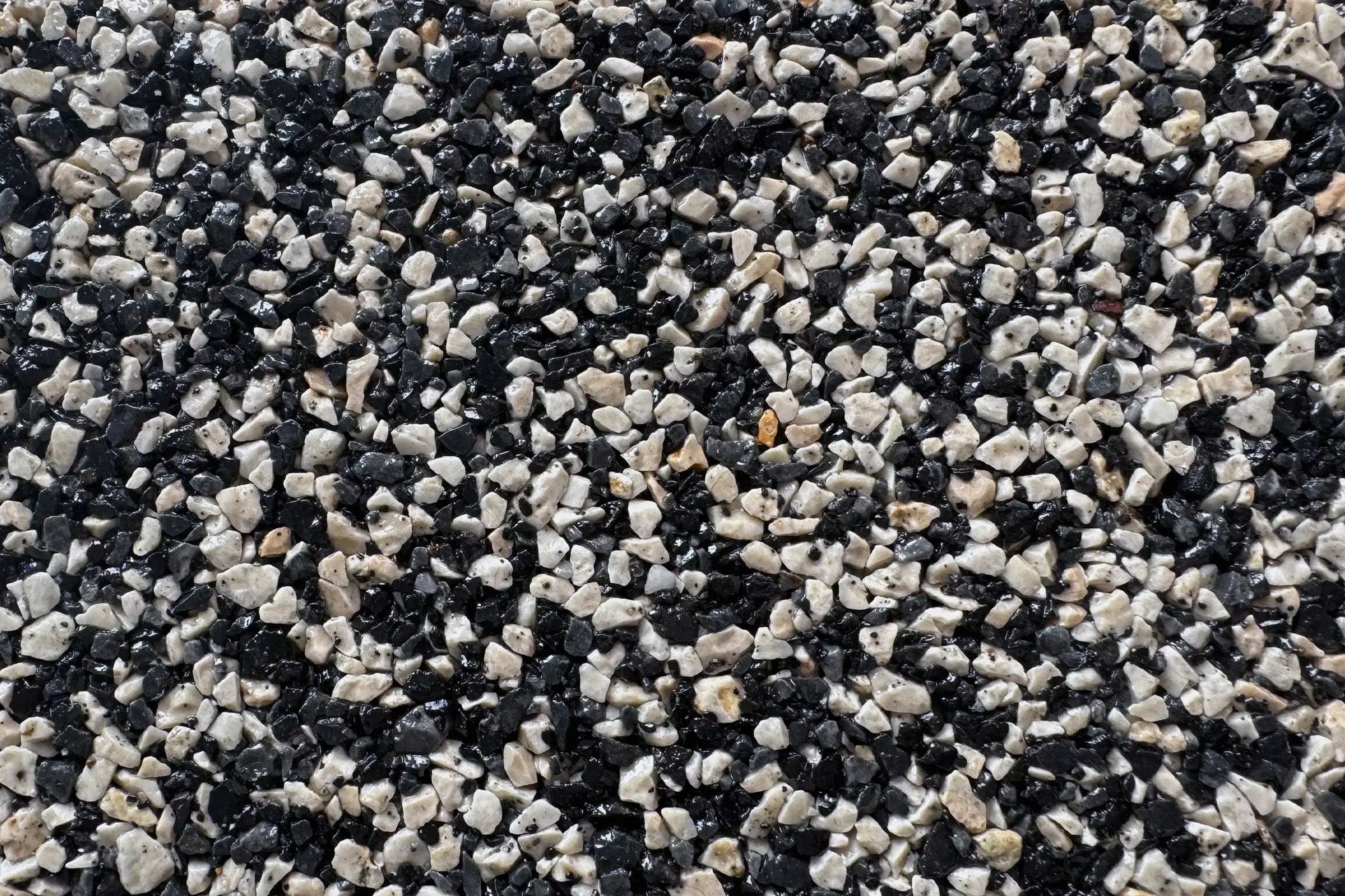 trialridge trialridge