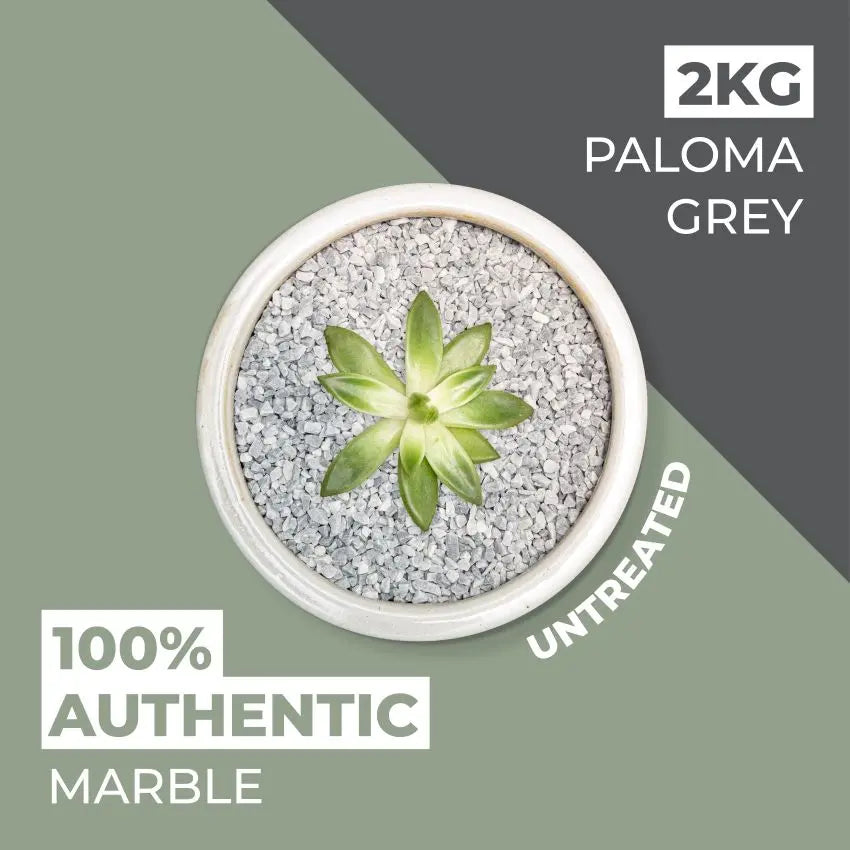 amazon info photos paloma 2 amazon info photos paloma 2