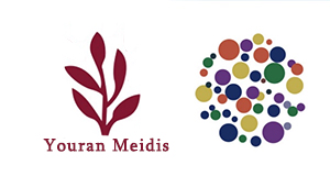meidisi logo