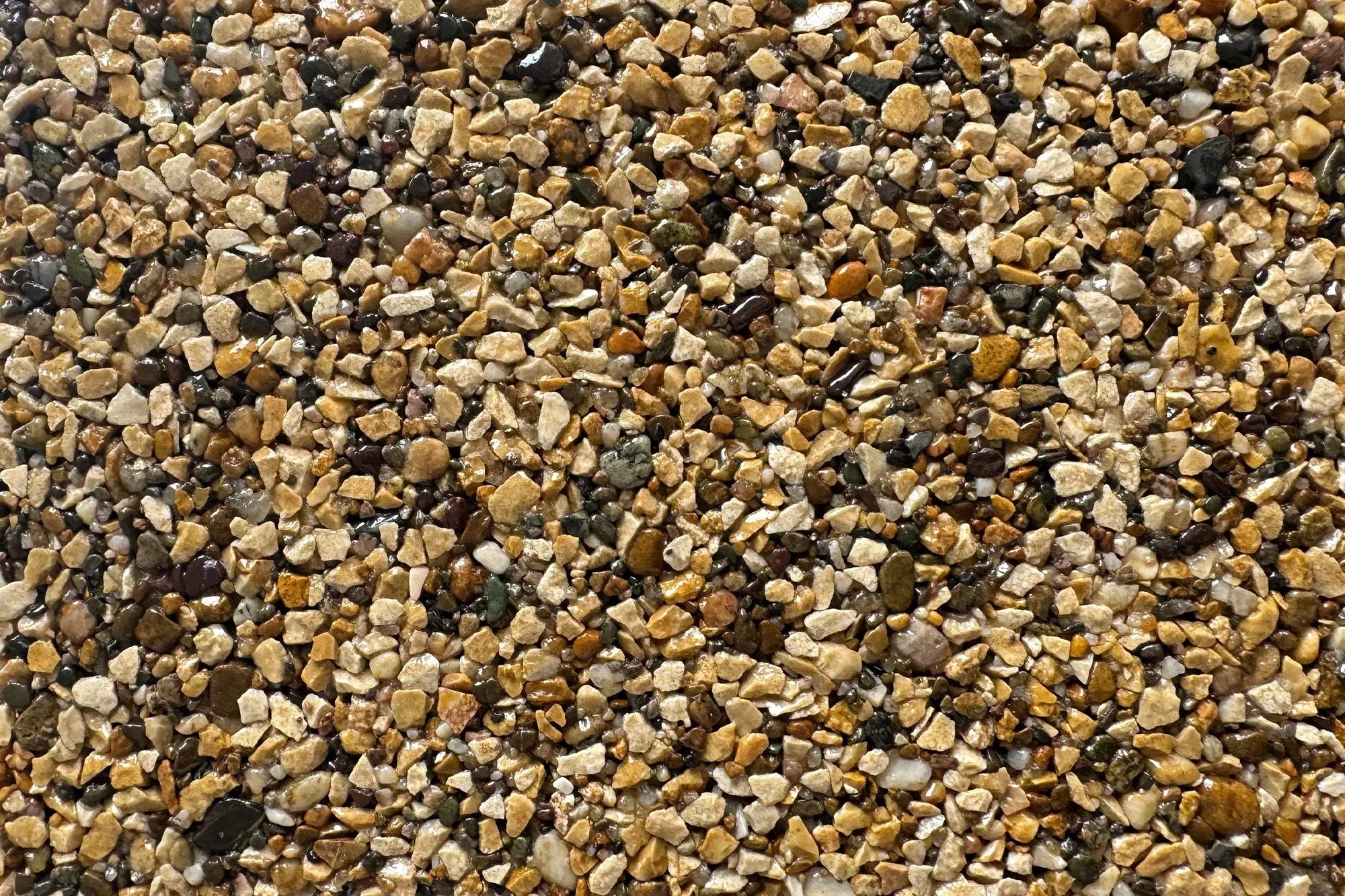 newwhitbyabbey 62149659 4682 4324 b141 8448d1a38d5f newwhitbyabbey 62149659 4682 4324 b141 8448d1a38d5f