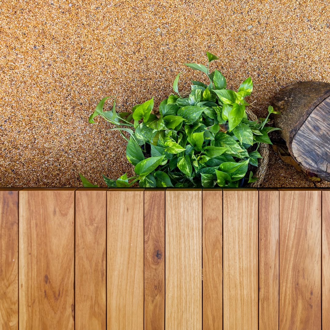 snapvid.net 461970803 1492062634826878 1136809801986276276 n